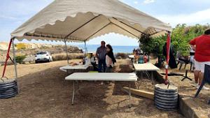 Cap Agde - Debarquement Provence - 15.08.2024 - 035